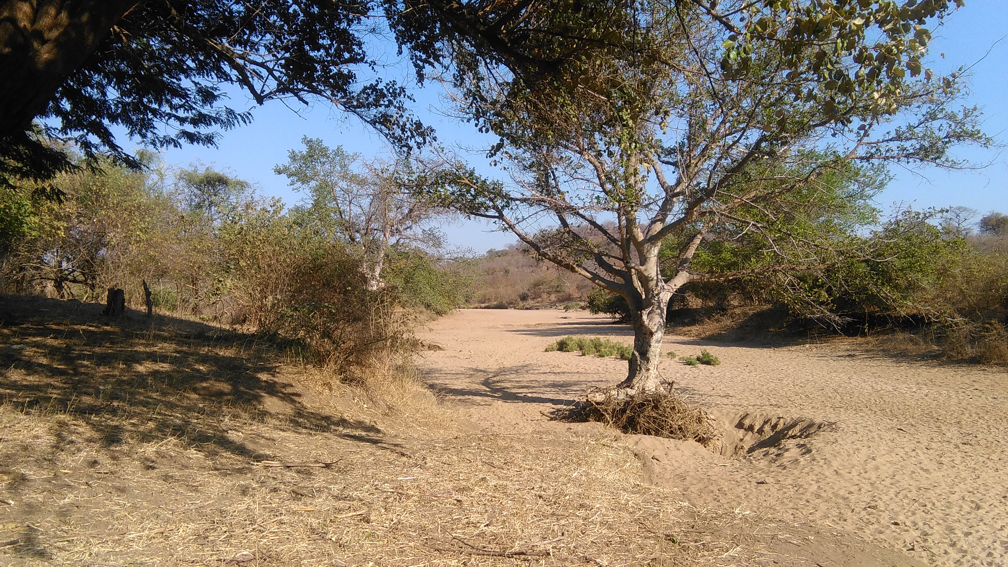 Murowa River: The Sand, the Well, and the Path North