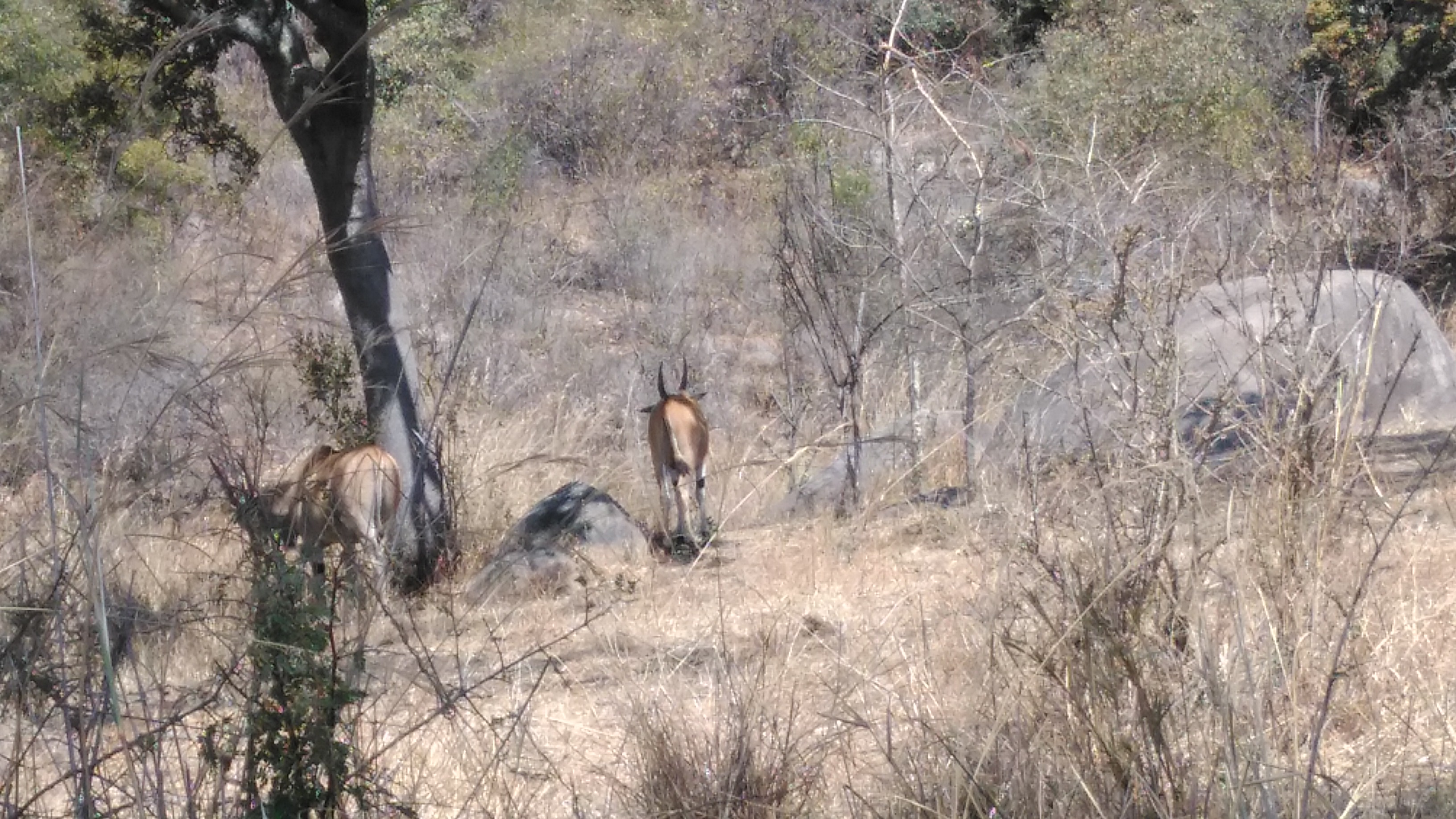 Where Water Meant Survival: Hunting Lands of Sosono, Nyauyanga, and Thomas